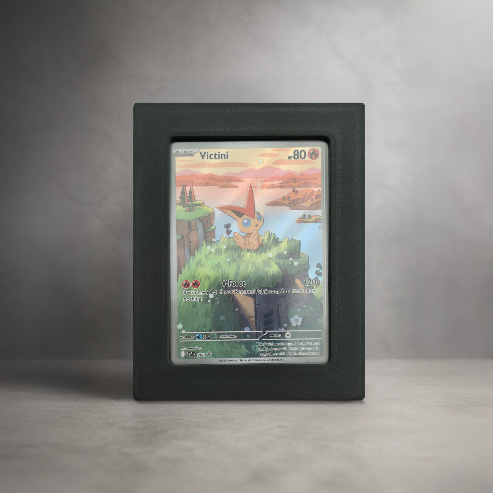 Wandhalterung für Pokémon-Karten – TopLoader Clean / Standard TCG Wandhalterung für Pokémon-Karten – TopLoader Clean / Standard TCG – verfügbar bei TG Vault