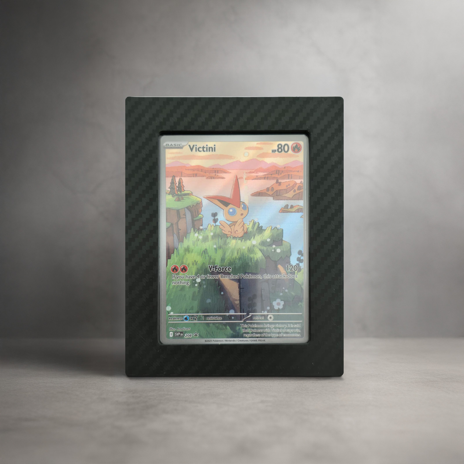 Wandhalterung für Pokémon-Karten – TopLoader Carbon TCG Wandhalterung für Pokémon-Karten – TopLoader Carbon TCG – verfügbar bei TG Vault